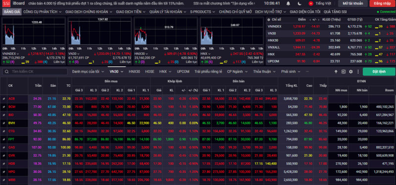 Thị trường chứng khoán chìm trong sắc đỏ. Ảnh chụp màn hình