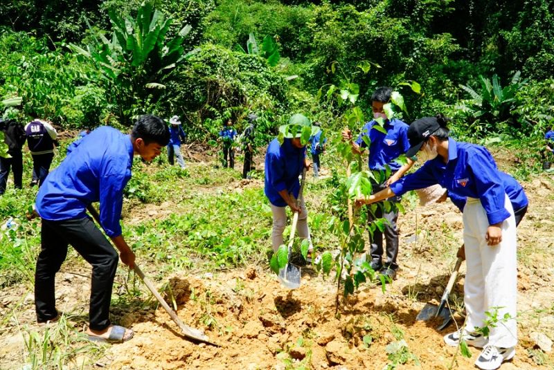 Sau Lễ khởi động, các đại biểu tham gia trồng cây xanh tại Khu di tích Căn cứ Tỉnh ủy Bình Thuận