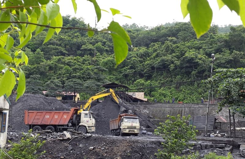 Các mỏ nhỏ, than lộ vỉa thống nhất giao cho TKV và Tổng Công ty Đông Bắc quản lý, khai thác chưa rõ lỗ hổng than tuồn ra ngoài.