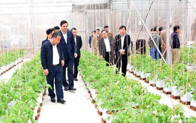 Lãnh đạo tỉnh Nghệ An và các sở, ngành tham quan mô hình sản xuất rau sạch trên địa bàn huyện Nghi Lộc