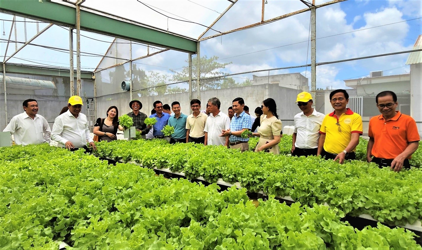 Tham quan khu trồng rau thủy canh của Công ty Cổ phần Công nghệ Nông nghiệp Sài Gòn Xanh (SAGOXA) tại Củ Chi