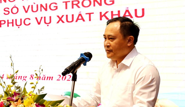 Phó Chủ tịch UBND tỉnh Lạng Sơn Lương Trọng Quỳnh phát biểu tại hội nghị