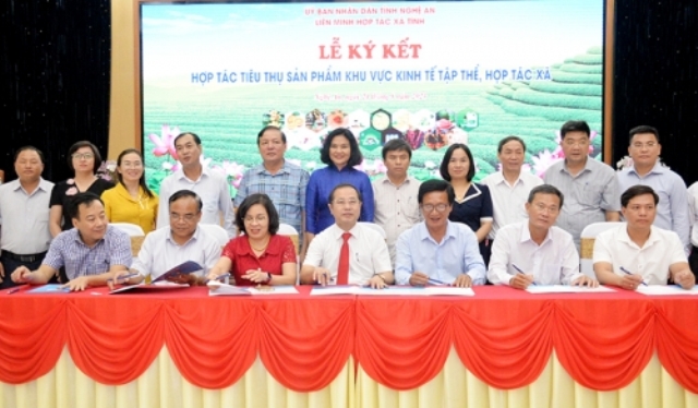 Liên minh HTX các tỉnh, thành phố ký Biên bản ghi nhớ hợp tác tiêu thụ sản phẩm khu vực KTTT, HTX