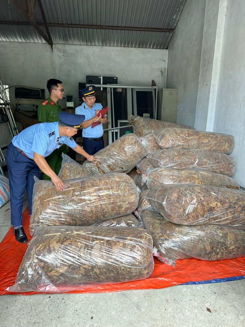 lực lượng QLTT tỉnh Cao Bằng vừa phối hợp với Đội Kiểm soát liên ngành 389 tỉnh này tiến hành kiểm tra, phát hiện và tạm giữ 550 kg nguyên liệu thuốc lá không rõ nguồn gốc xuất xứ