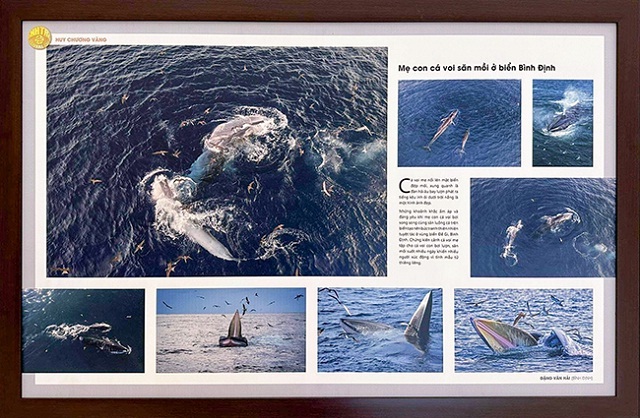 Tác phẩm Tác phẩm