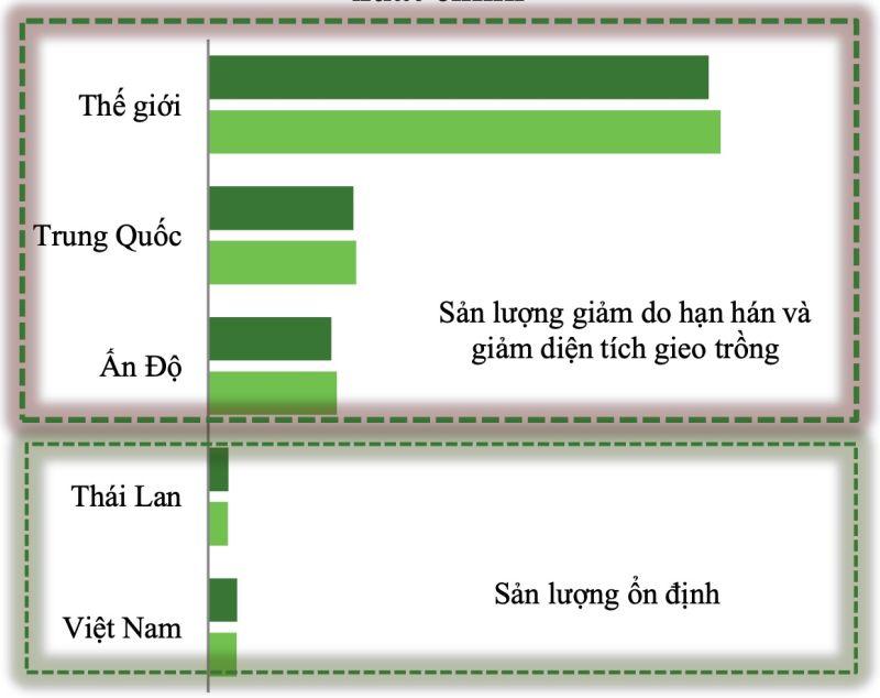 Dự báo sản lượng gạo năm nay tại các nước sản xuất gạo lớn nhất thế giới. (Nguồn: VCBS)