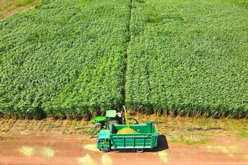 Tại các KLH nông nghiệp THACO AGRI, nhiều loại máy móc, thiết bị được ứng dụng đã góp phần nâng cao năng suất, giảm sức lao động, tiết giảm chi phí đầu tư, mang lại hiệu quả cao trong sản xuất