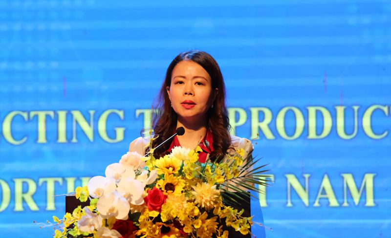 Trợ lý Bộ trưởng Bộ Ngoại giao kiêm Vụ trưởng Vụ Tổng hợp kinh tế Nguyễn Minh Hằng phát biểu tại buổi tọa đàm.