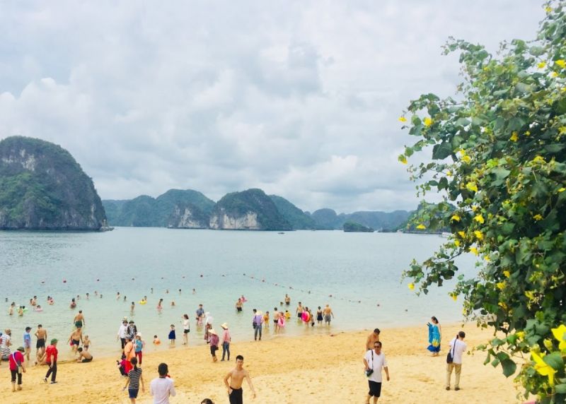 8 tháng năm 2023 tổng lượt khách du lịch đến Quảng Ninh ước đạt 12,060 triệu lượt khách