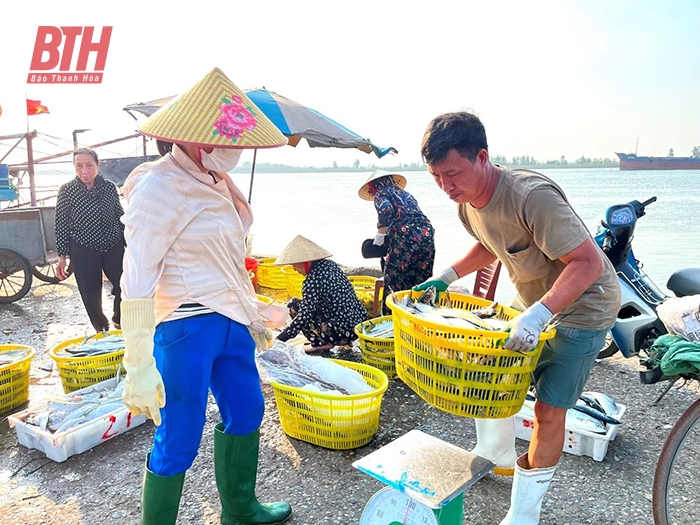 Thương lái thu mua hải sản ngay khi tàu cập bến tại Cảng cá Lạch Hới, phường Quảng Tiến (TP Sầm Sơn).