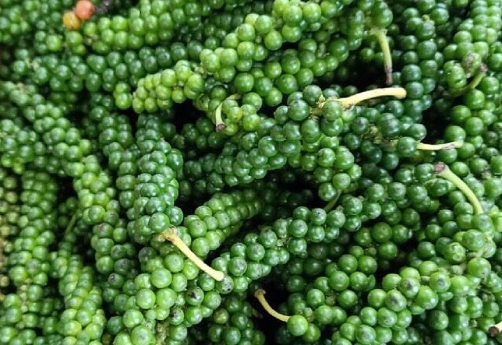 Giá tiêu hôm nay 8/9: Ổn định, dao động từ 70.500 - 73.500 đồng/kg