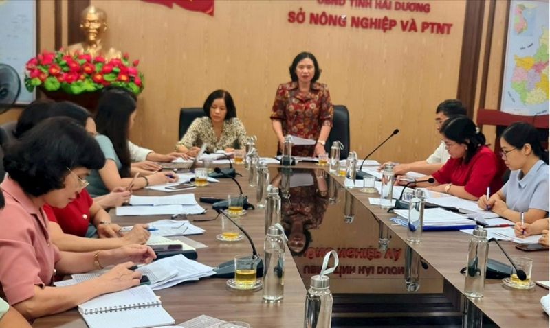 Phó Chủ tịch Thường trực HĐND tỉnh Hải Dương Nguyễn Thị Ngọc Bích phát biểu tại buổi làm việc