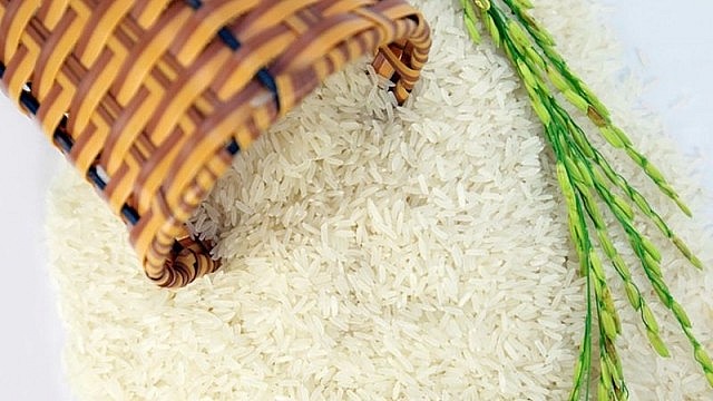Giá lúa gạo hôm nay biến động trái chiều