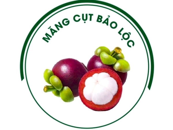 Logo Măng cụt Bảo Lộc đã được Cục Sở hữu trí tuệ công nhận nhãn hiệu sản phẩm