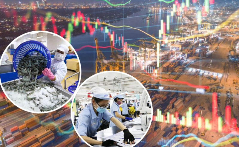 Diễn biến phiên chứng khoán sáng 20/9: Dòng tiền chuyển hướng qua nhóm cổ phiếu dệt may và thủy sản