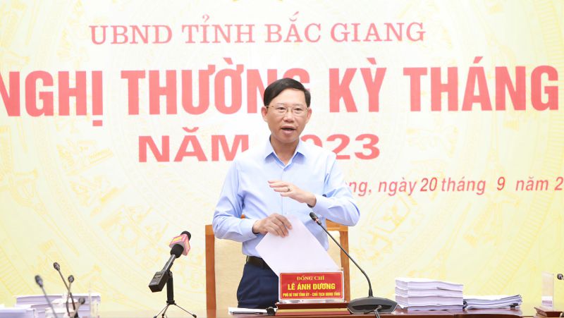 Chủ tịch tỉnh Bắc Giang Lê Ánh Dương phát biểu tại hội nghị.