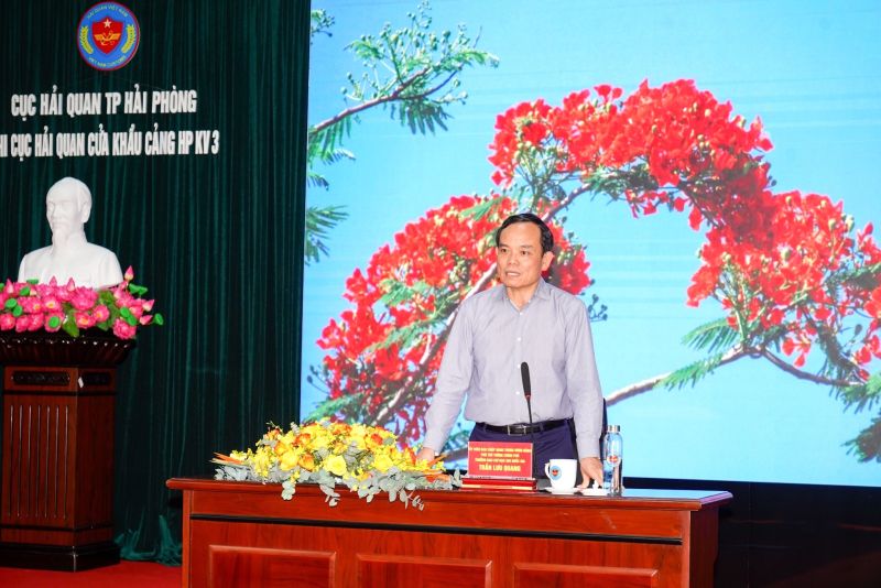 Phó Thủ tướng Chính phủ, Trần Lưu Quang,