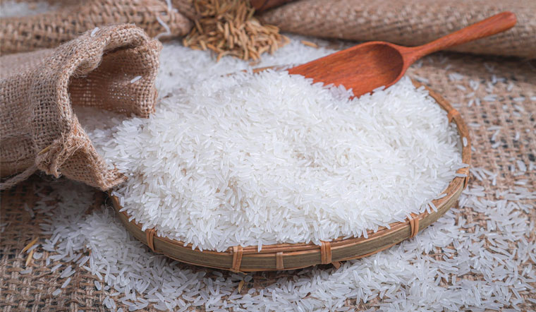 Giá lúa gạo hôm nay 27/9: Gạo tiếp đà tăng