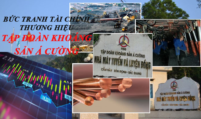 Bức tranh thương hiệu ACM - Tập đoàn Khoáng sản Á Cường