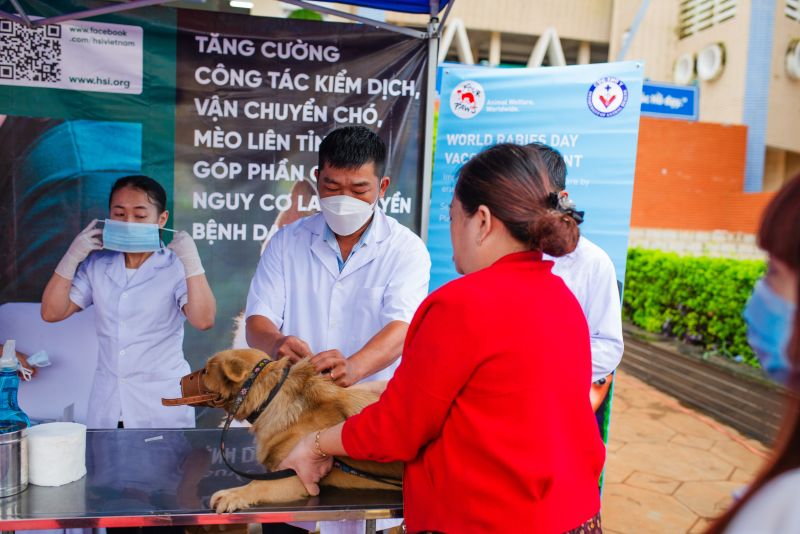 Các chuyên gia quốc tế khẳng định rằng không thể loại trừ bệnh dại nếu không chấm dứt hoạt động buôn bán thịt chó và mèo