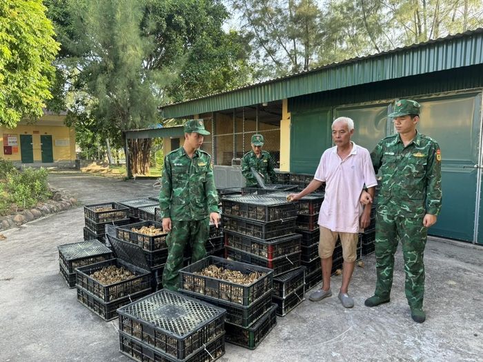 Bộ đội Biên phòng Trà Cổ tạm giữ Nguyễn Thành Quý (quốc tịch Trung Quốc) cùng tang vật. (Ảnh: BĐBP Trà Cổ cung cấp)