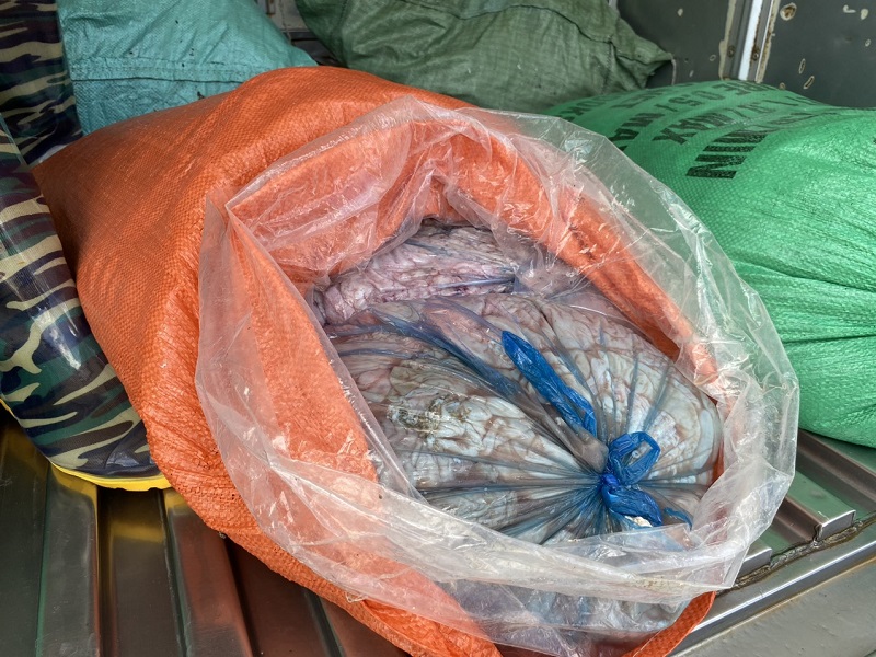 Phát hiện hơn 300 kg lòng lợn thối đang trên đường đi tiêu thụ