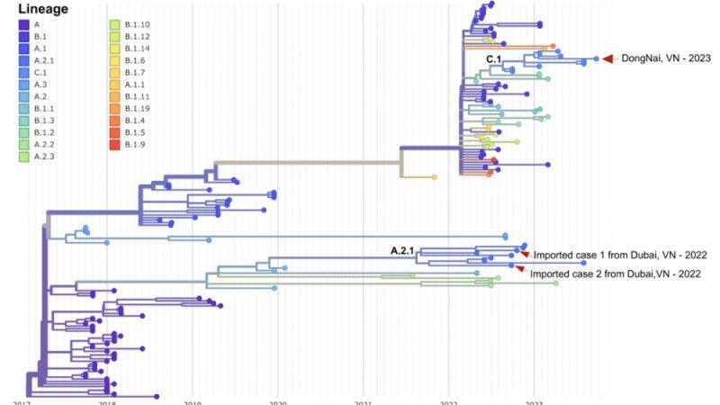 Chủng virus monkeypox khác với chủng virus với kiểu gene A.2.1 được phát hiện ở 2 ca nhập cảnh vào Việt Nam vào tháng 10/2022 từ Dubai trước đây.