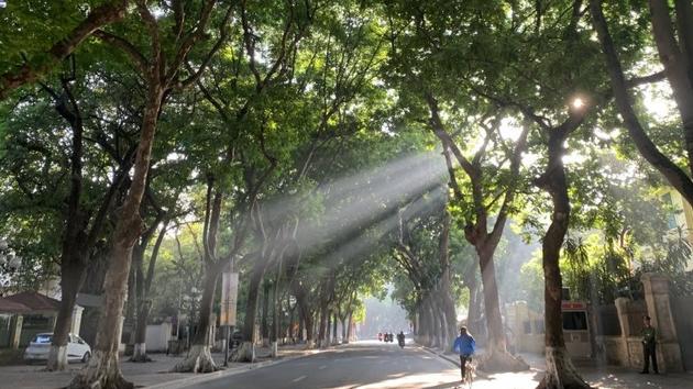 Ngay từ sáng sớm, nắng đã xuất hiện ở khắp các con phố của Hà Nội