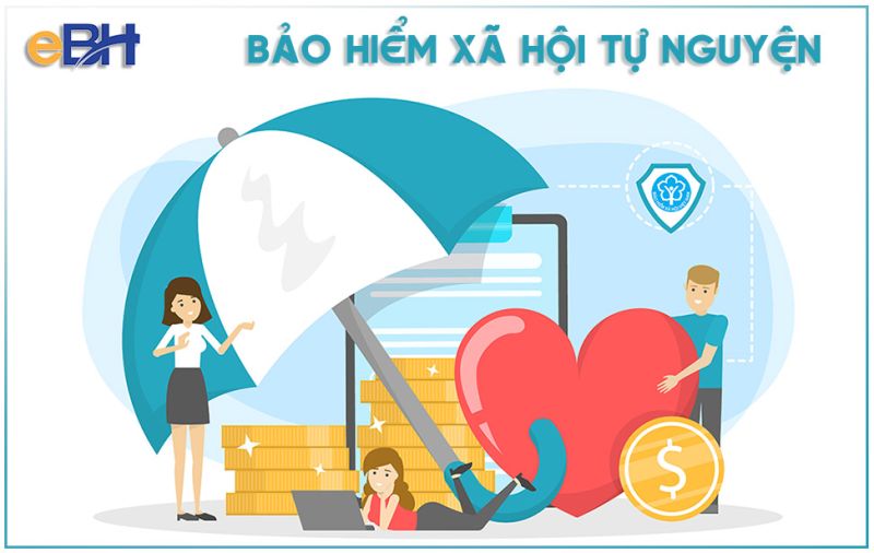 Hà Nội tiến hành hỗ trợ thêm mức đóng bảo hiểm xã hội tự nguyện cho 61.254 người