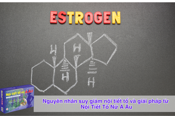 Nguyên nhân suy giảm nội tiết tố và giải pháp từ Nội Tiết Tố Nữ Á Âu