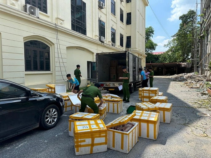 Vĩnh Phúc: Thu giữ hơn 1 tấn thực phẩm đông lạnh không rõ nguồn gốc