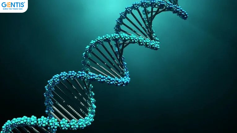 Giám định ADN có từ khi nào?