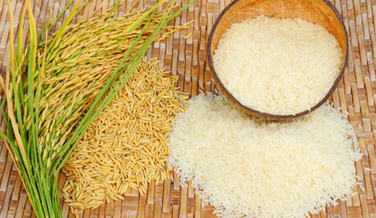 Hôm nay 20/10, giá lúa gạo tiếp đà tăng