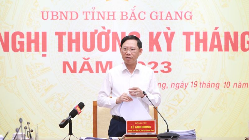 Đồng chí Lê Ánh Dương Chủ tịch UBND tỉnh Bắc Giang phát biểu tại hội nghị.
