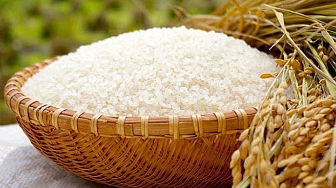 Hôm nay 23/10, giá lúa đồng loạt tăng 200 - 700 đồng/kg
