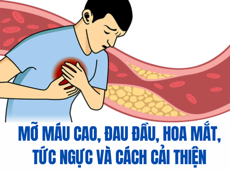 Mỡ máu cao đau đầu, hoa mắt, tức ngực - đã có LIPIDcleanz