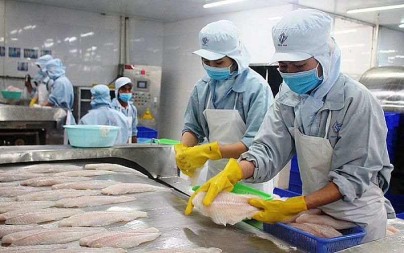 Thủy sản là mặt hàng xuất khẩu chính của Việt Nam sang thị trường Thụy Sĩ