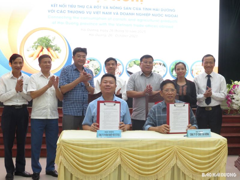 Các doanh nghiệp đã tham gia ký kết thu mua, tiêu thụ và xuất khẩu cà rốt và nông sản của Hải Dương.