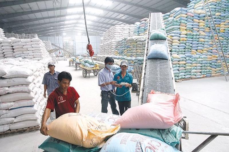 Xuất khẩu gạo: Giá lúa gạo càng tăng, doanh nghiệp càng cần có chiến lược lâu dài. Ảnh internet.