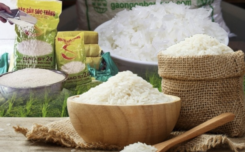 Xuất khẩu gạo: Giá lúa gạo càng tăng, doanh nghiệp càng cần phải có chiến lược lâu dài