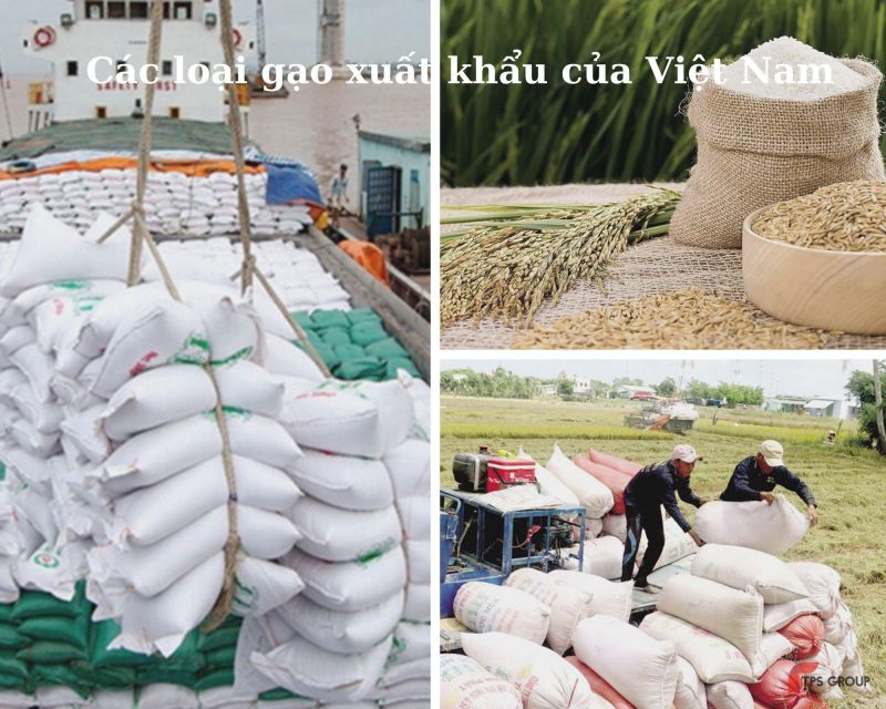 Hôm nay 30/10, giá lúa gạo đồng loạt tăng