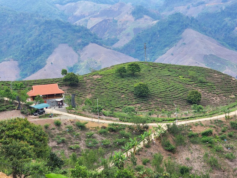 TranGia Farmstay - điểm đến lý tưởng cho các du khách