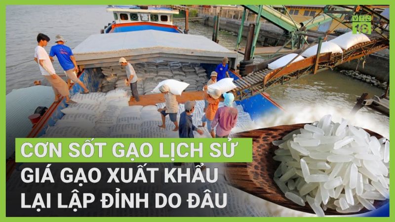 Giá gạo xuất khẩu Việt Nam cao nhất thế giới, nông dân đang hưởng lợi