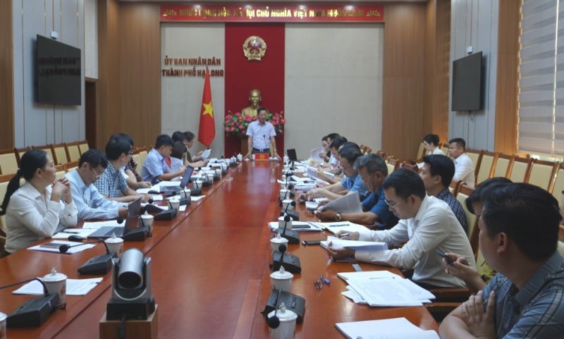 Giám sát công tác giải quyết kiến nghị của cử tri tại TP. Hạ Long