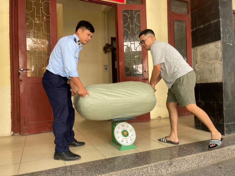 Thu giữ 115kg giun đất đã sấy khô tại Cao Bằng