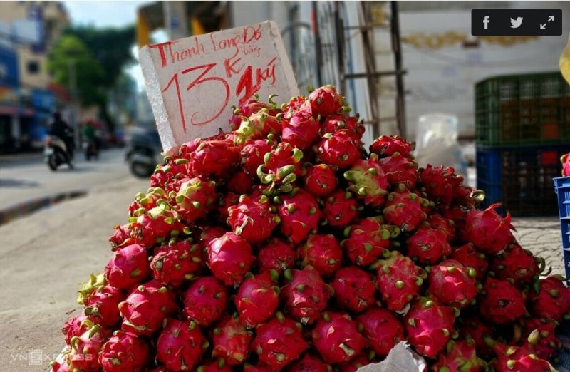 Thanh long ruột đỏ rớt giá một nửa