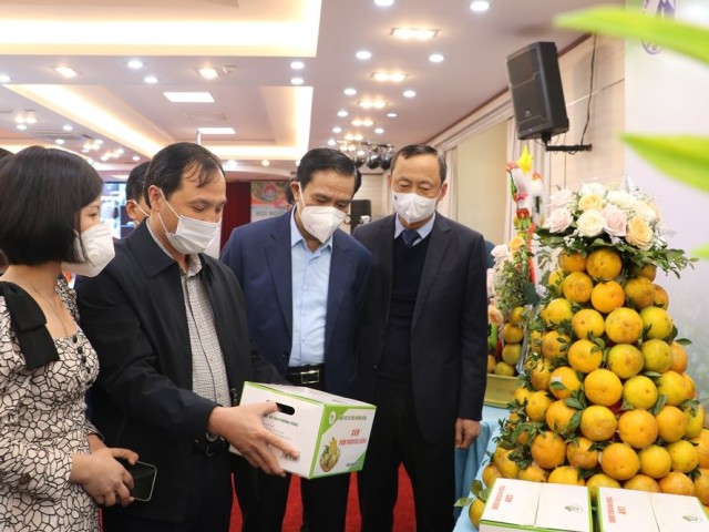 Hà Tĩnh: Sắp diễn ra lễ hội cam và các sản phẩm nông nghiệp lần thứ 6