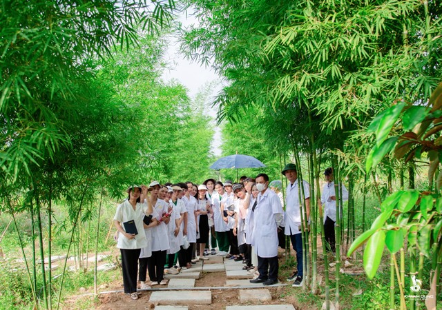 Đội ngũ bác sỹ, nhà nghiên cứu của Công ty TNHH Dược SMC tham quan vườn thảo dược 2 GeneCell OMC tại xã Tiến Thành, huyện Yên Thành, Nghệ An.