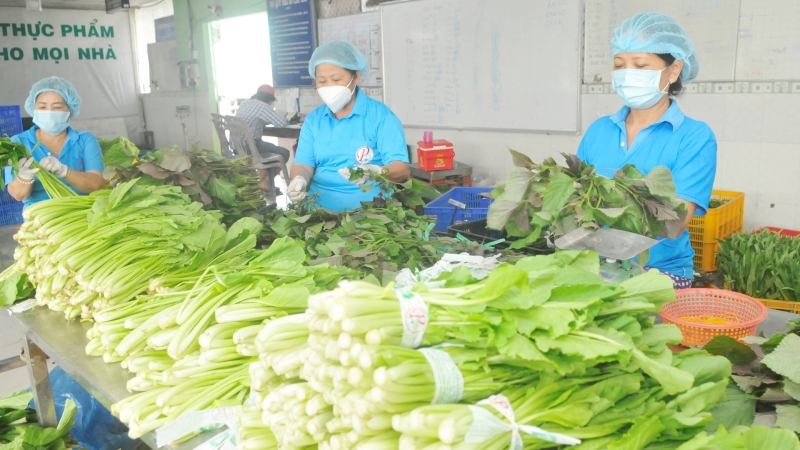 Liên minh châu Âu (EU) là một trong những thị trường xuất khẩu nông sản, thực phẩm quan trọng của Việt Nam. (Ảnh minh họa).