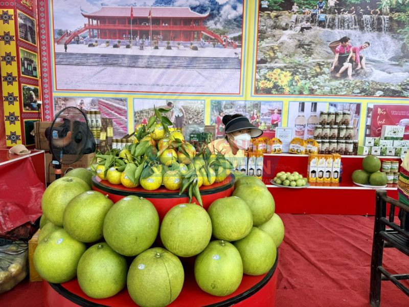 Gian hàng trưng bày các nông sản tiêu biểu tại Phiên chợ vùng cao năm 2023